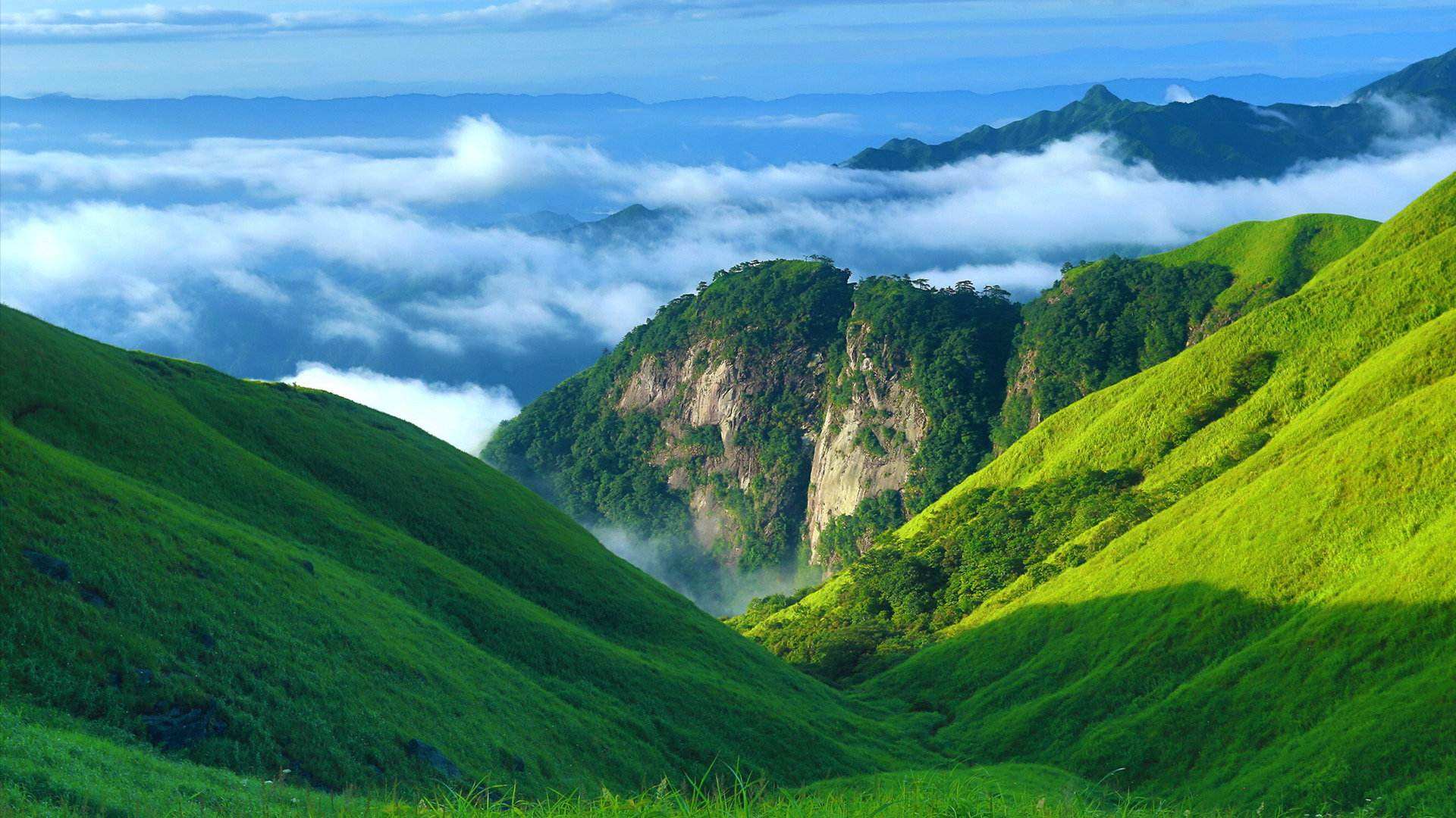 20190425236379.jpg cf70d9bd57a4e988c38576aa53d4c550.jpg