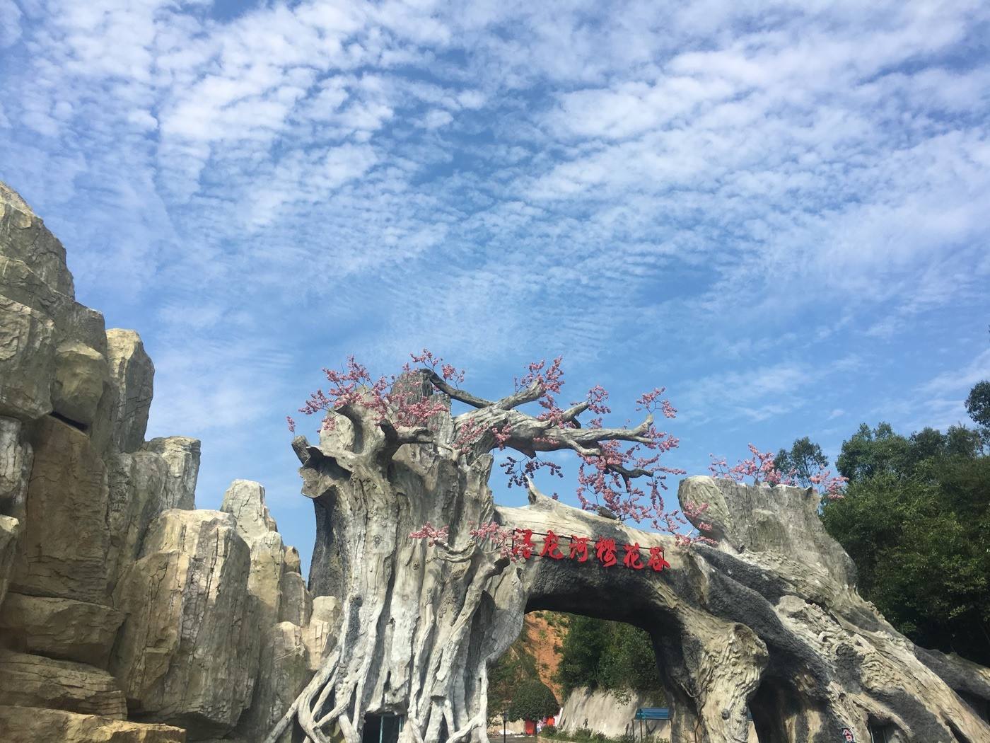 20190425740481.jpg timg (1).jpg