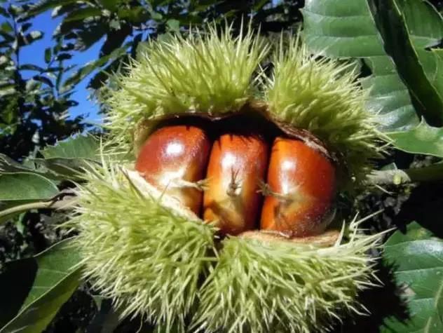 20170915799395.jpg 微信图片_20170915114451.jpg