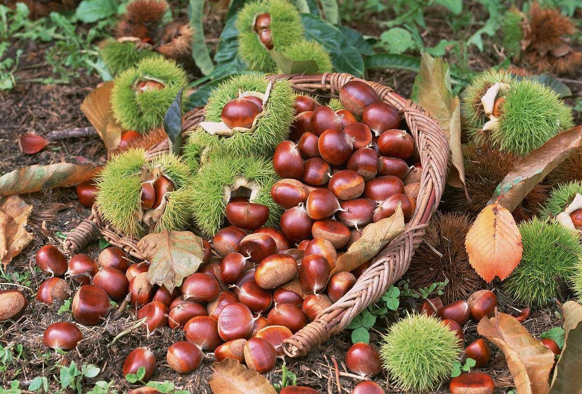 20170915466826.jpg 微信图片_20170915120112.jpg