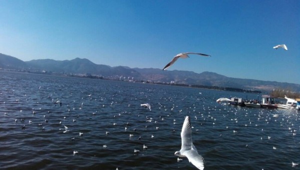 20190628303554.jpg 2.jpg