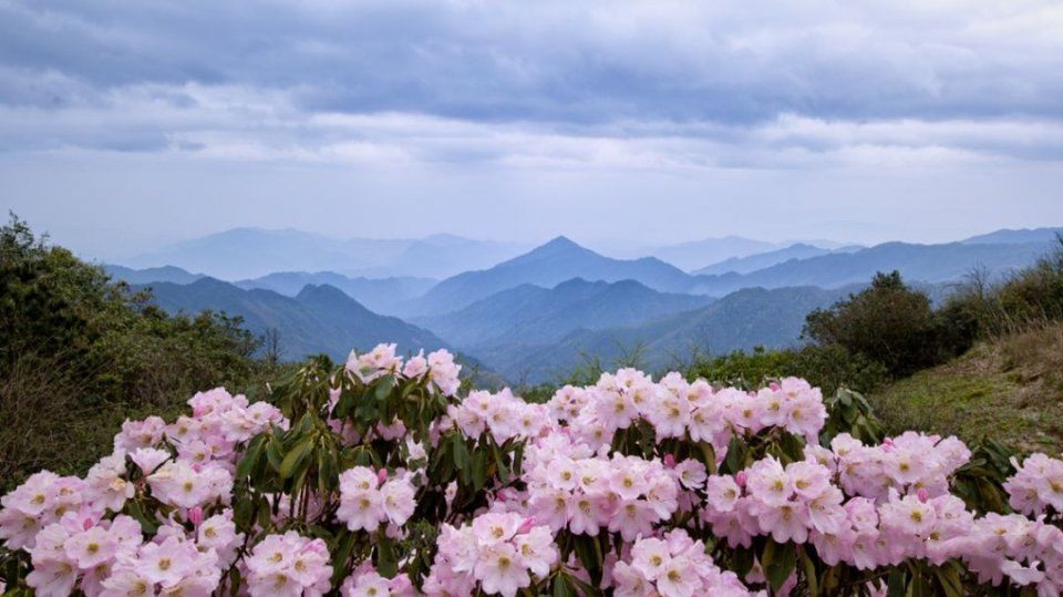 20190701944671.png 微信图片_20190701090741.png