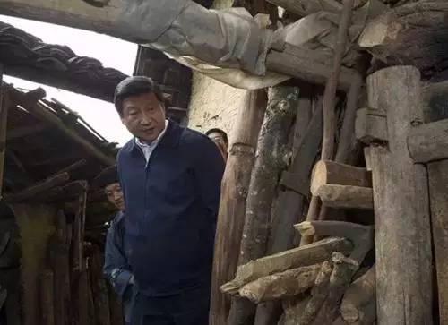 20191108146276.jpg W020150717748663016990.jpg