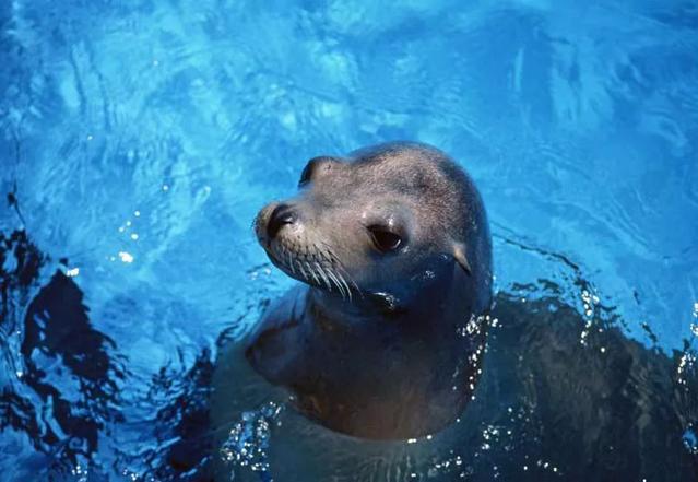 20191108560845.jpg u=103526817,557729577&fm=173&app=25&f=JPEG.jpg