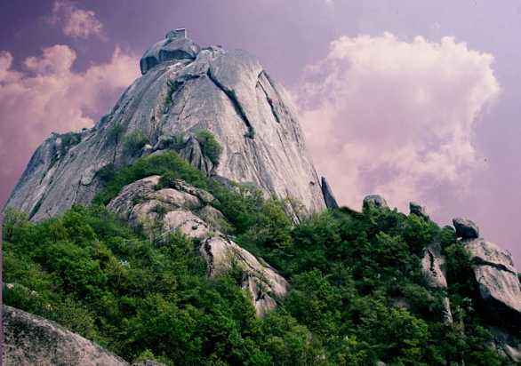 20191108861374.jpg timg (5).jpg