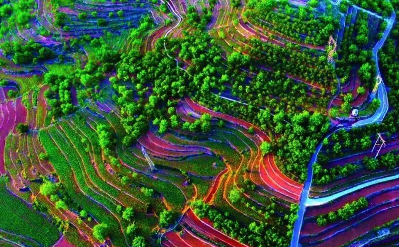 1638938377141313.png 图片.png