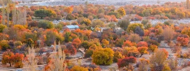 1639104010424032.png image.png