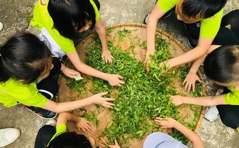 亲子研学、家庭休闲为主要出游动机 