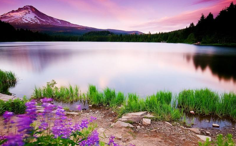 1645509329808347.png image.png