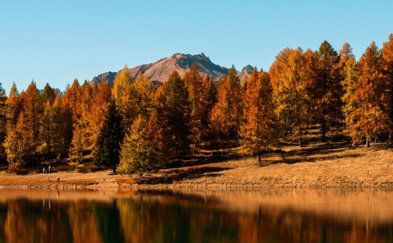 1646017271723490.png image.png