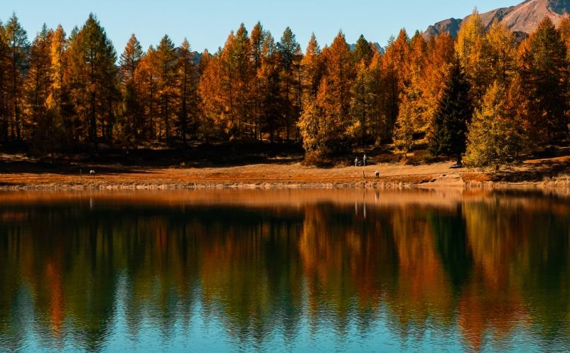 1646017826701128.png image.png