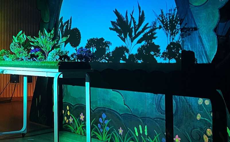 全国政协委员安庭：扩大文旅内需，推动“演艺新空间”发展 