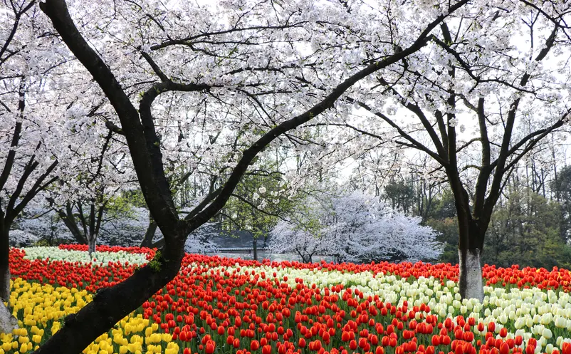 1647418502392651.png image.png