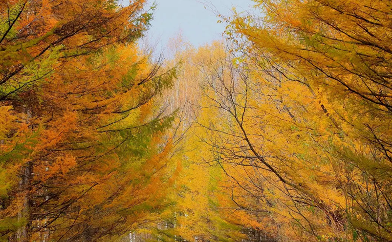 1649303106742771.png image.png