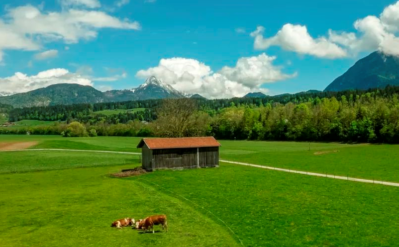 1650789581999875.png image.png