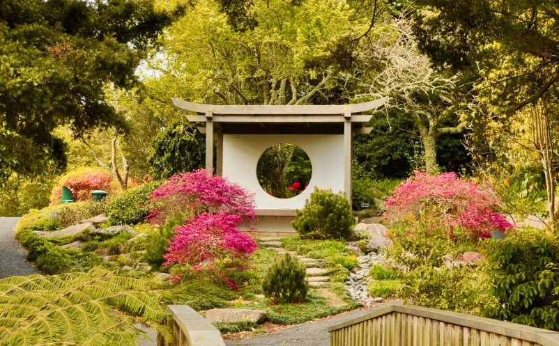 1650789605411900.png image.png