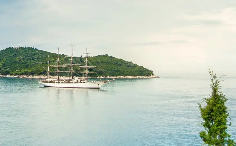 1650866647771671.png image.png