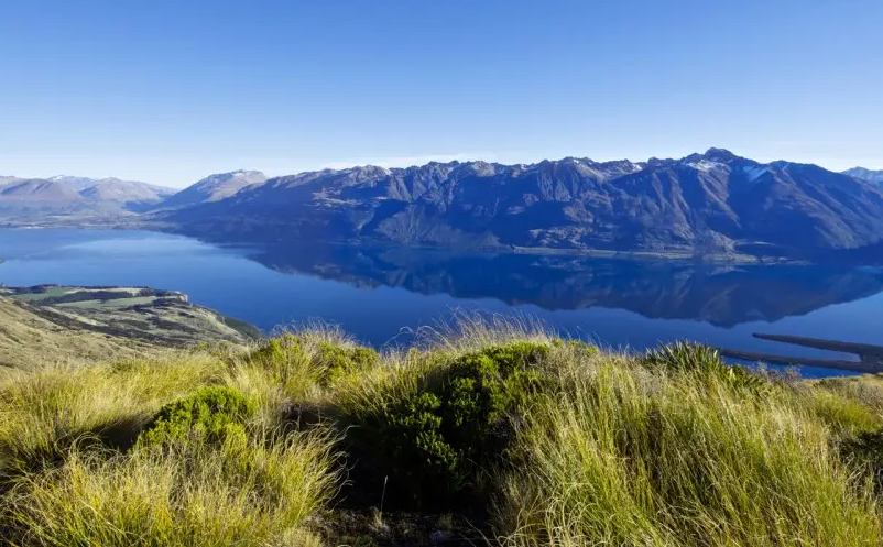 1650866805466143.png image.png