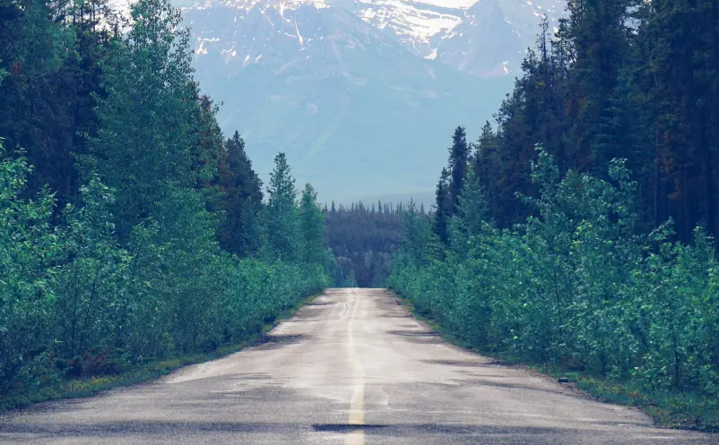 1652693555687444.png image.png