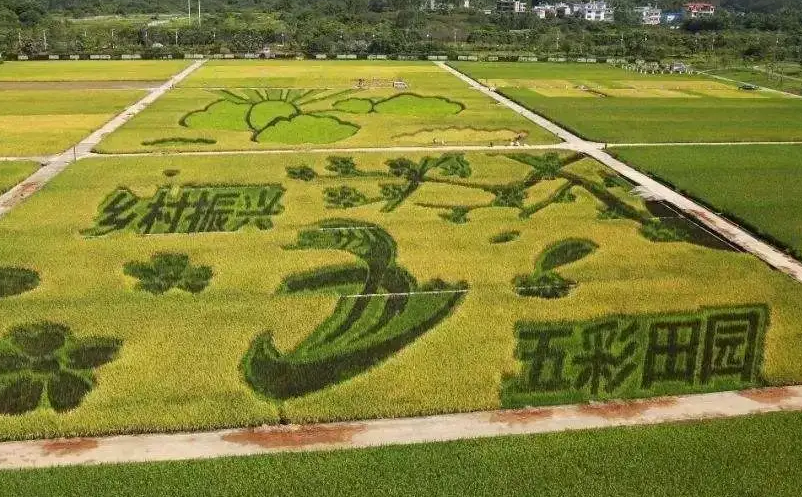 1652867165772941.png image.png