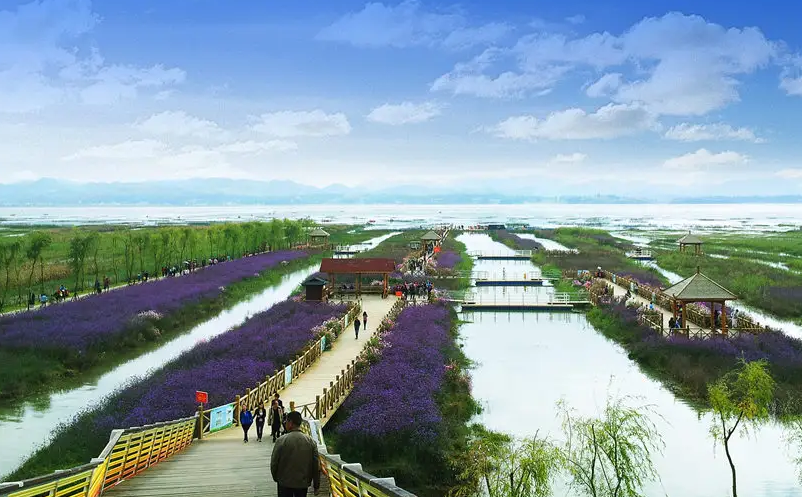 1652867288997281.png image.png