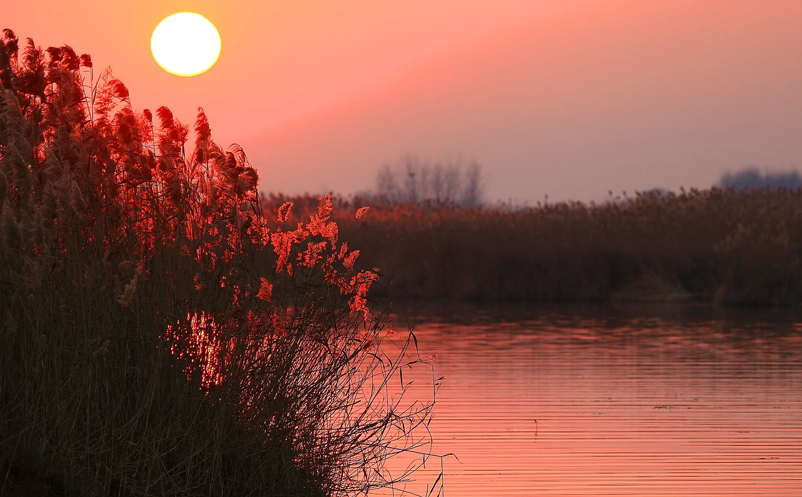 1653030142634639.png image.png