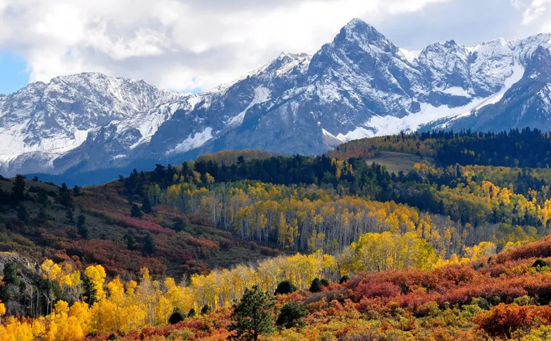 1653374277964378.png image.png