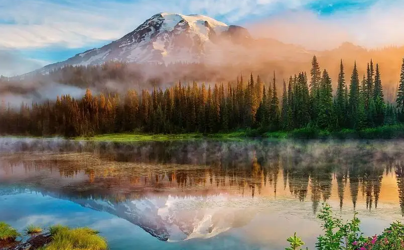 1654151543875323.png image.png