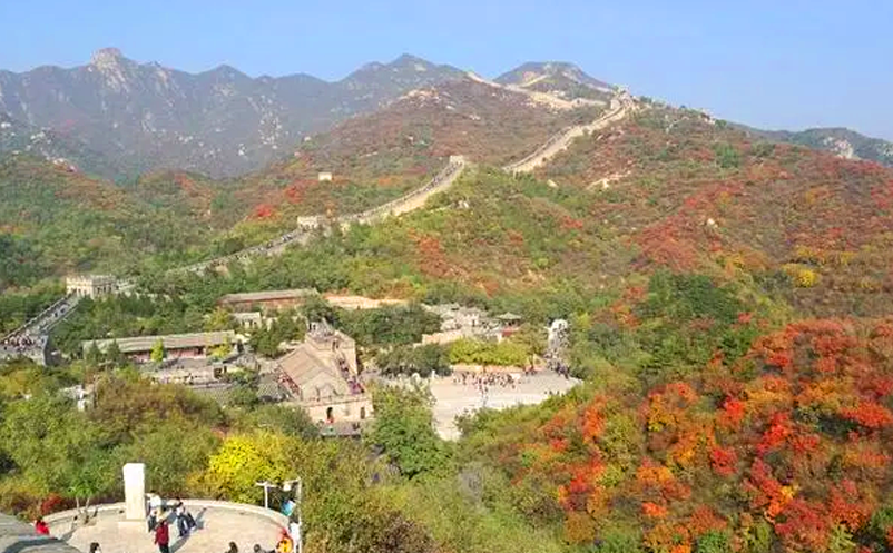 1654155089507229.png image.png