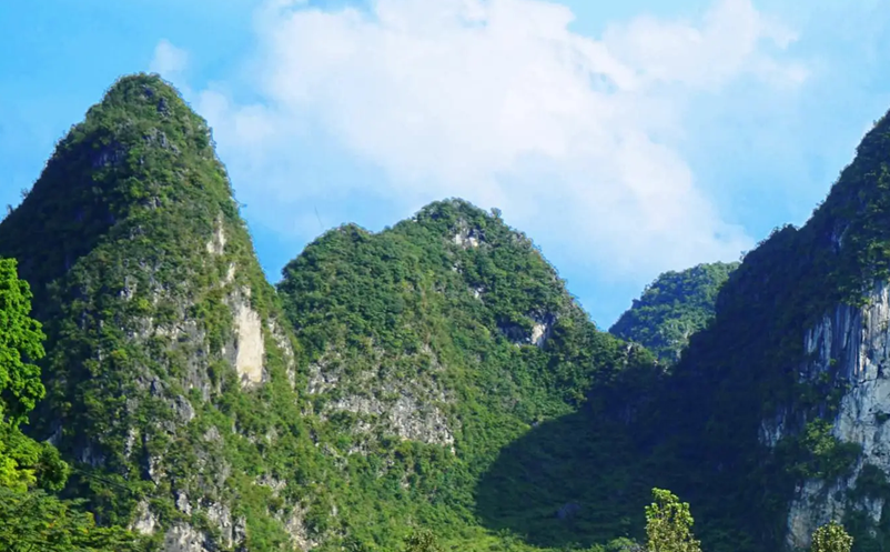 1655107865911983.png image.png