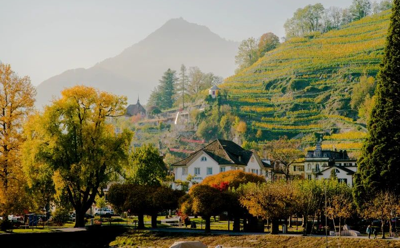 1655286591429574.png image.png