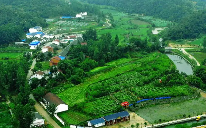 1655286999571862.png image.png