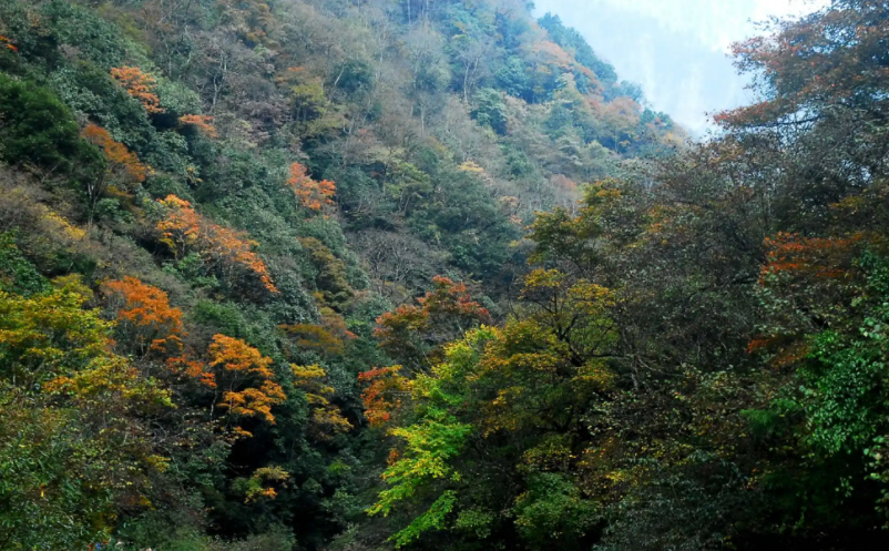 1655456086759000.png image.png