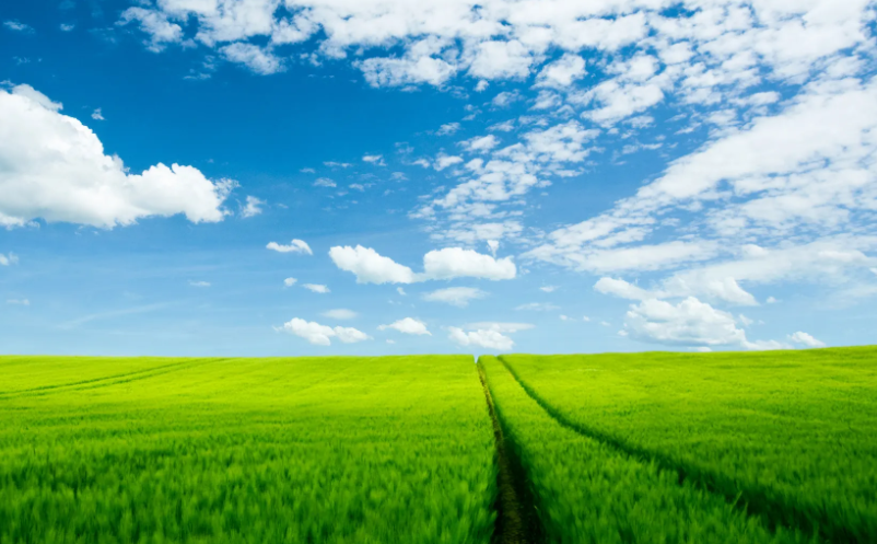 1655794142481564.png image.png