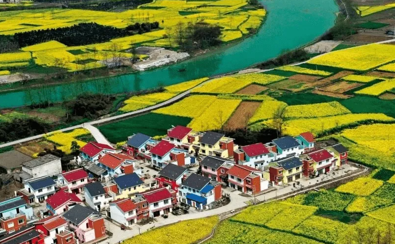 1656056597567999.png image.png