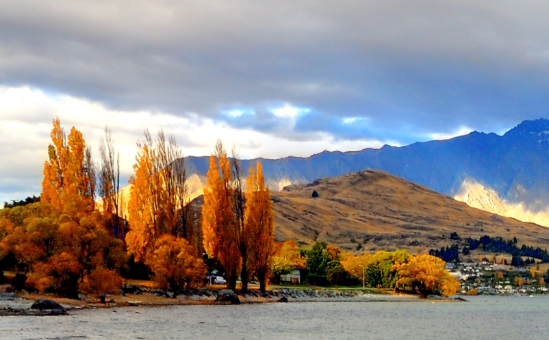 1660881356850984.png image.png