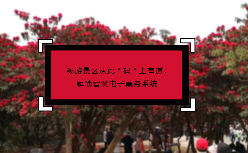 畅游景区从此