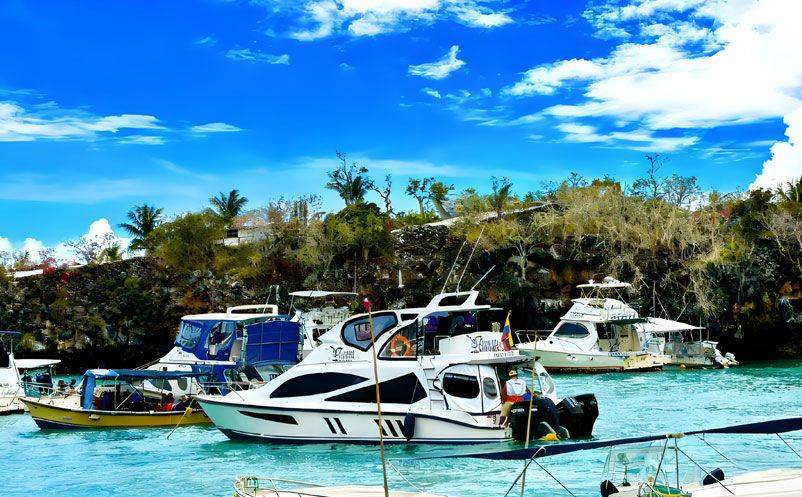 易景通签约太平洋明珠航运,西班牙语票务系统,开启国际化新篇章 易景通签约太平洋明珠航运,西班牙语票务系统,开启国际化新篇章