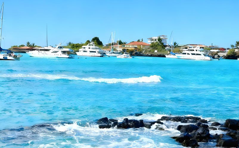 易景通签约太平洋明珠航运,西班牙语票务系统,开启国际化新篇章 易景通签约太平洋明珠航运,西班牙语票务系统,开启国际化新篇章